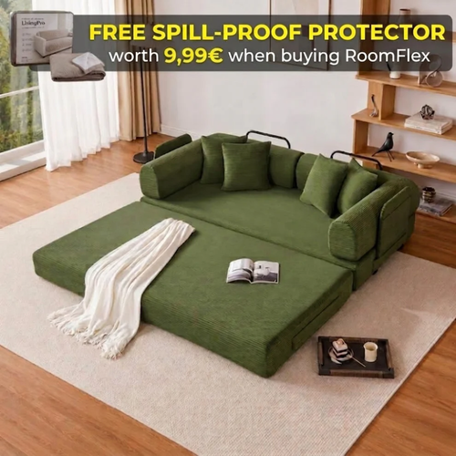 Sofa Bed - RoomFlex